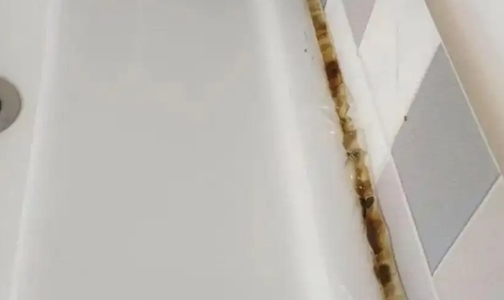 0ù&A+˫֤˳ӲƷݽ¶Ҿձ߽׼