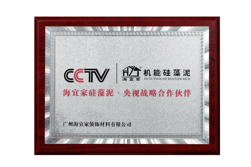 cctv