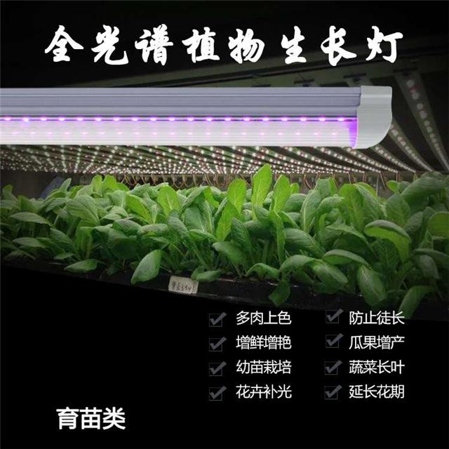 植物led补光灯