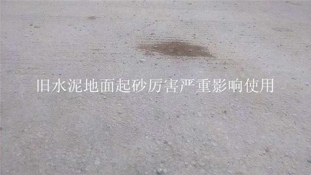 Vݺ^(q)ɰ̎ɰ淭̻ƺ