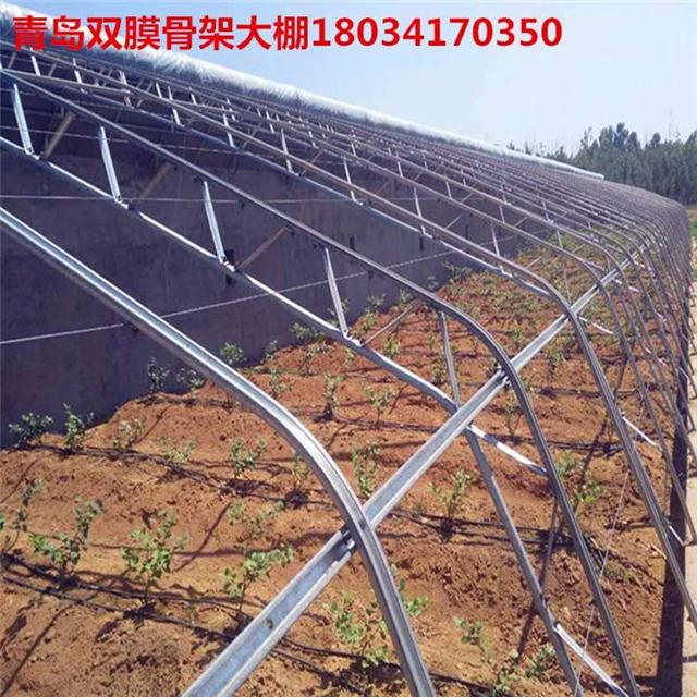 上下梁两层支撑双膜大棚骨架厂家