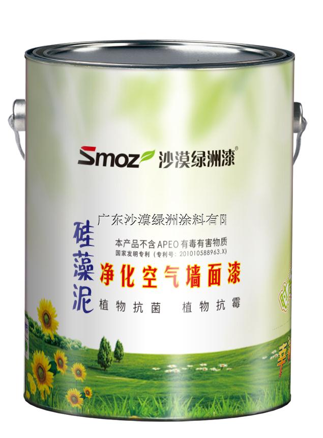 供应 硅藻泥净化空气墙面漆