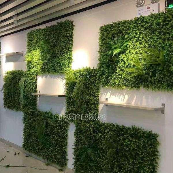 成都植物墙-立体绿化养护注意事项