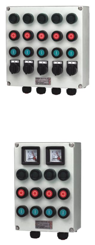 BZC8050IIC