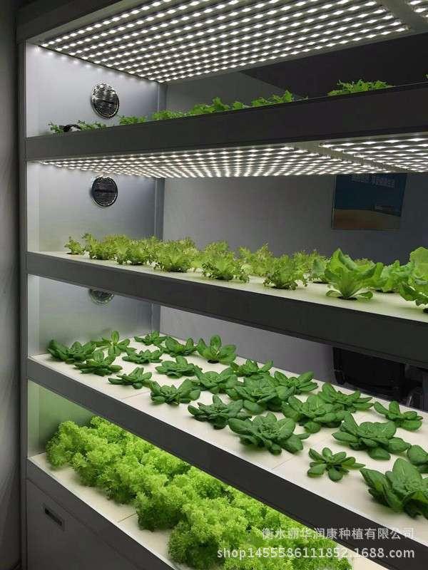 润康园智能蔬菜种植机无土栽培设备家庭水培