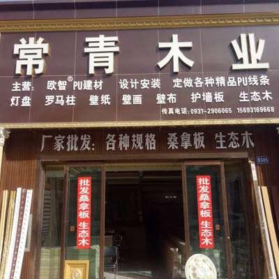 城关区大西北板材市场天鲸装饰材料经营部