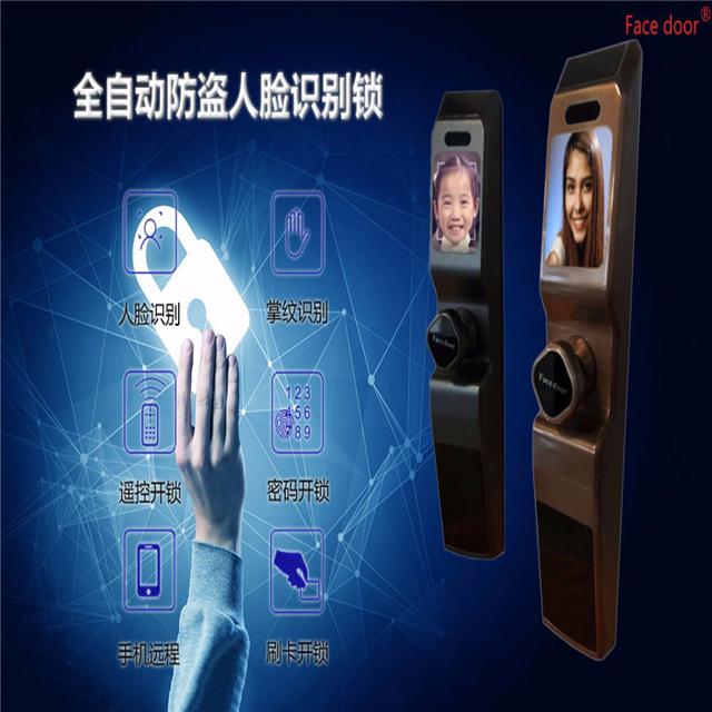 人脸识别门锁 全自动人脸识别锁 智能家居 掌纹识别门锁