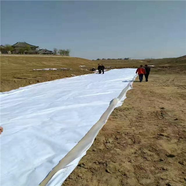 1.0׷BĤXһƽ