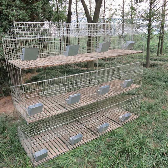 兔子养殖笼批发价格1河北兔笼铁丝网片规格齐全