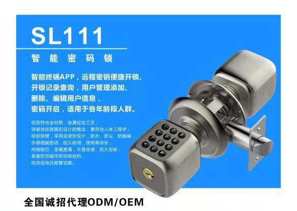 SL111{ܴai