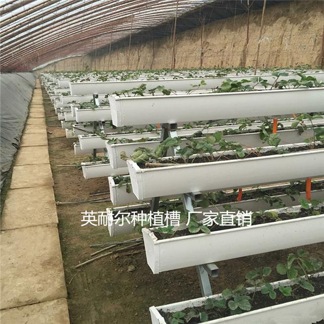 英耐尔草莓种植槽 温室果蔬立体种植槽 无土栽培槽制造
