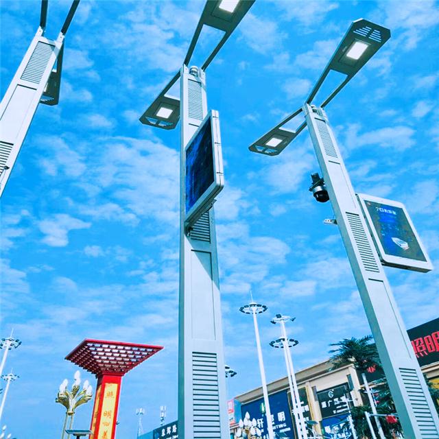 深圳兴武照明供智慧灯杆灯柱智慧路灯智能路灯