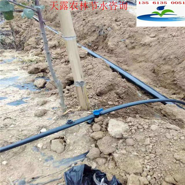 山地果树滴灌管 果园滴灌管 砂糖桔滴灌
