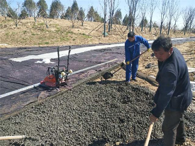 济南专业的彩色透水混凝土材料生产厂家