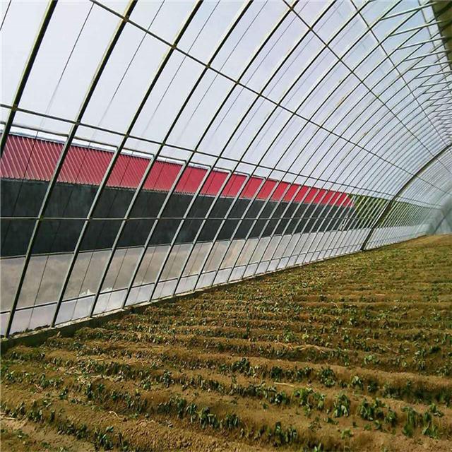 日光温室 蔬菜温室大棚 温室工程厂家