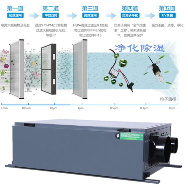 全热交换新风净化除湿机 别墅地下室新风除湿设备 新风除湿一体