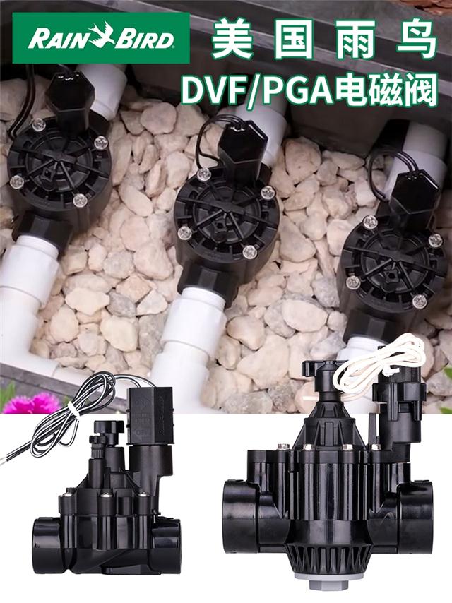 늴y B늴y @ֹ늴y PGA늴y