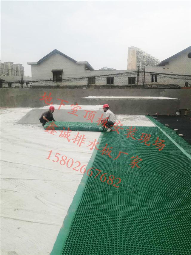 湖南长沙塑料排水板专业生产厂家地下室顶板园林蓄水板密杯排水板