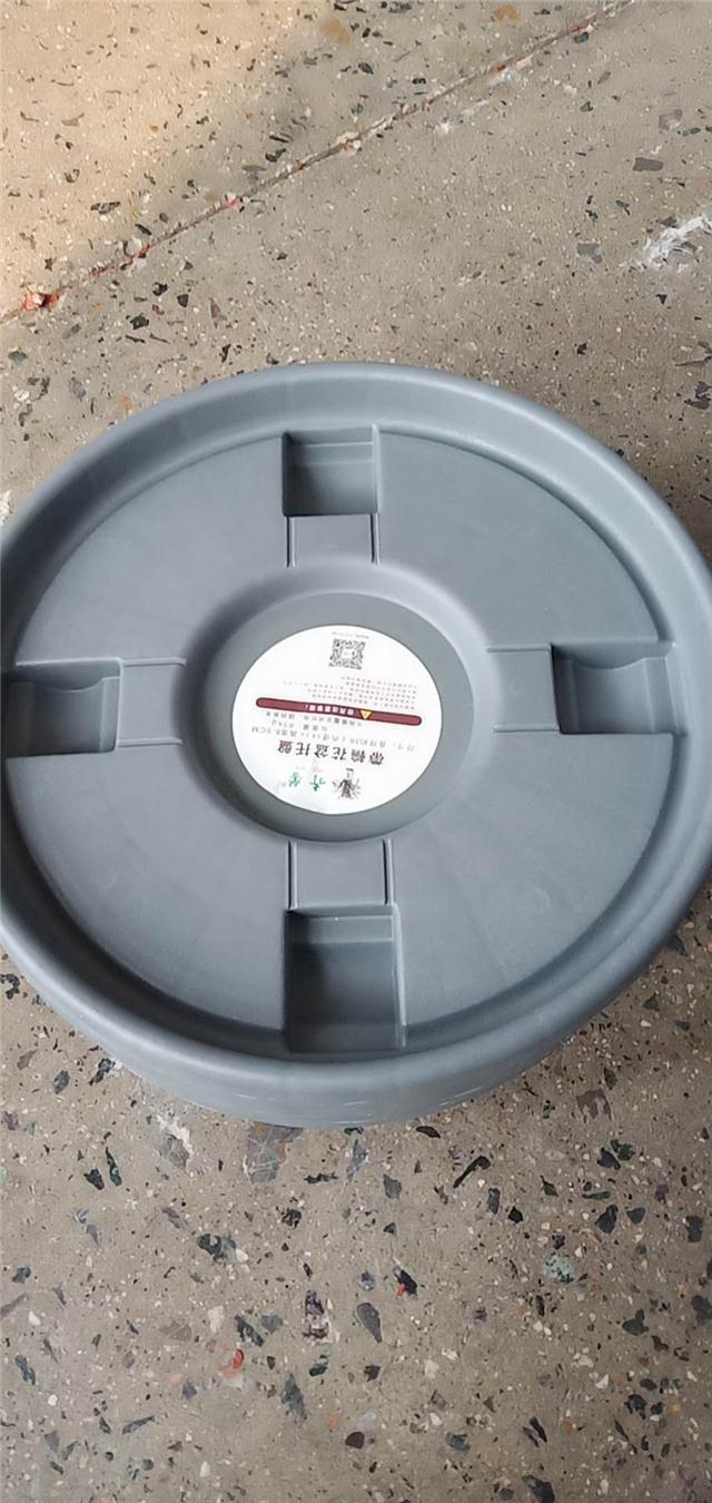 ݆бP ӺL݆ƄбP ݆бPӹ