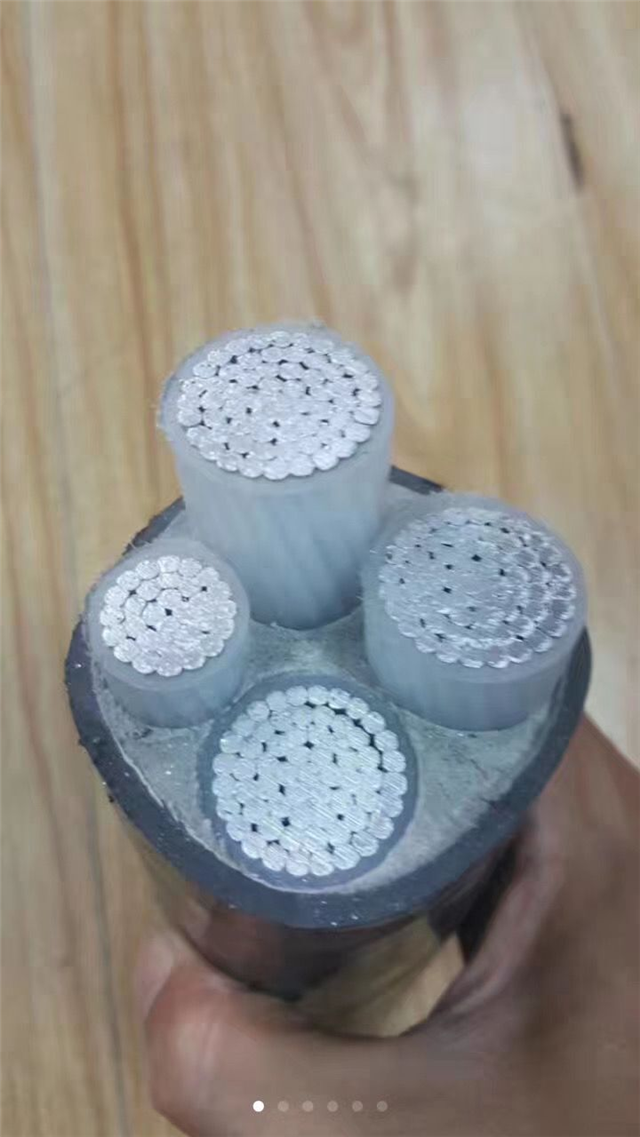 RVV3*6 2*4mm2V|V齭o(h)ܛ|