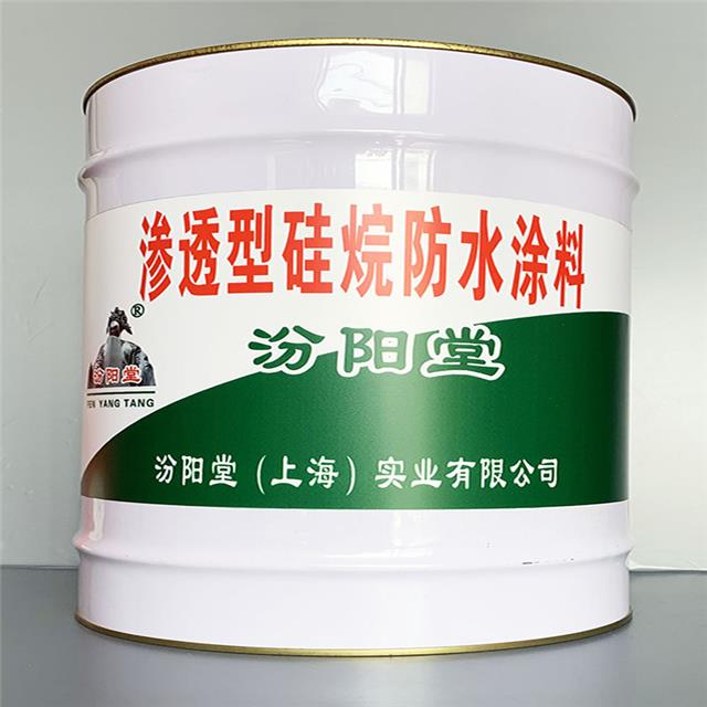 渗透型硅烷防水涂料,渗透型硅烷防水涂料,修补维护材料