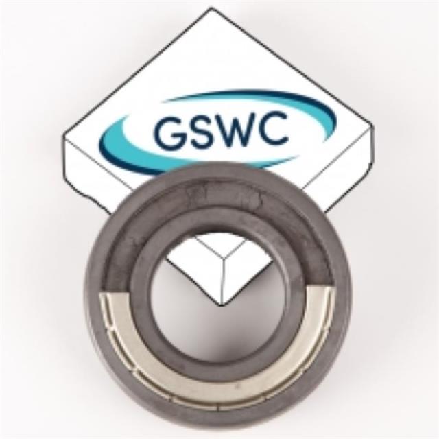 GSWCߜSSSS