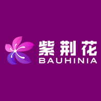  Bauhinia Paint (Shanghai) Co., Ltd 