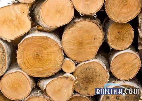 木料进口是广东省木料加工业的必经之路