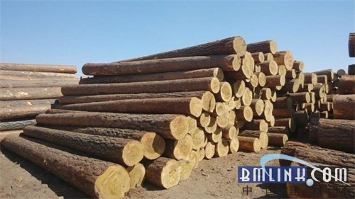 7月木料价钱指数陈说出炉 国产木料价钱同比下滑