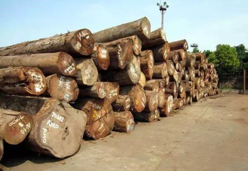 以前10年中巴西硬木产物的产量削减了近7成