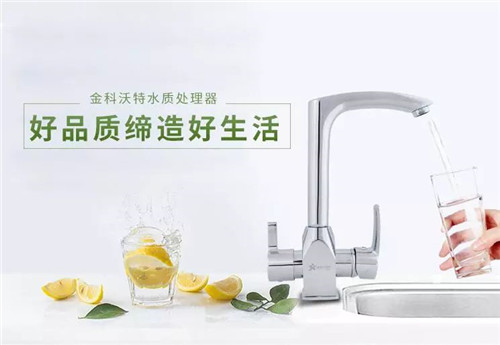 清水器是处置饮用水传染zui好方式