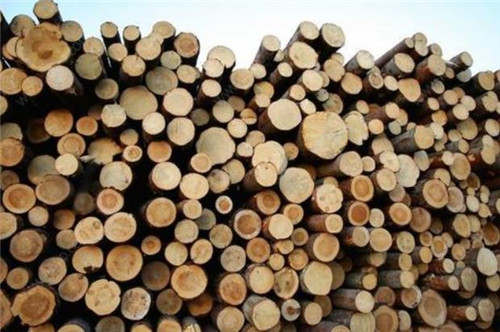 多达200名中国木料企业家正思考投资中爪哇