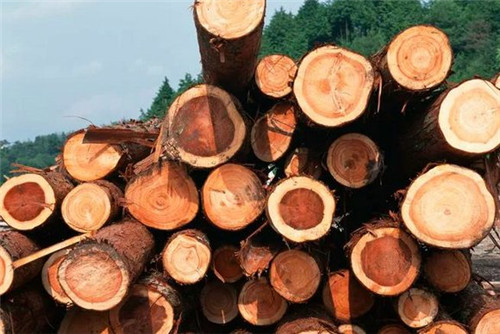 妨碍11月越南木料以及木废品进口额达94.5亿美元