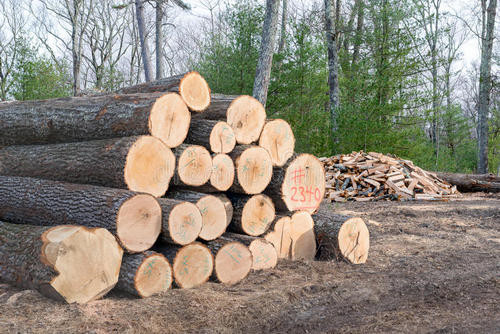 第三季度瑞典木料价钱下滑幅度扩展