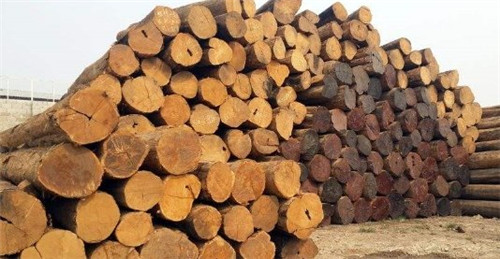 兰州新区打造全省首 个俄罗斯进口木料集散分派中间