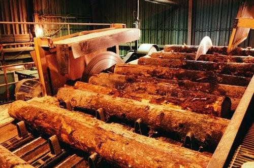 国内木料加工企业开工率着落