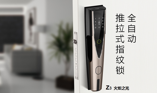 指纹锁品牌排行榜_2021年智能指纹锁十大名牌排行榜(含国内国外最新数(2)