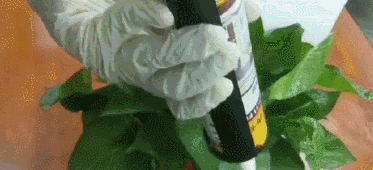 ЇľW