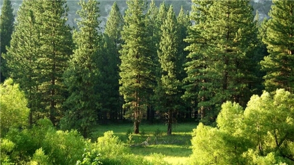 ľW(wng)