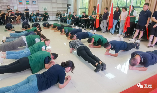 中国建材网