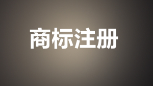 随艺涂 随艺购注册过商标吗?还有哪些分类可以注册?