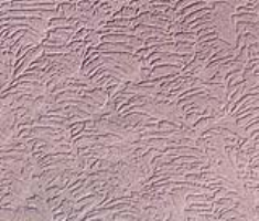  Difference between texture paint and diatom mud What is the difference between diatom mud and texture paint?