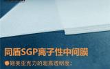 SGPgĤr