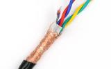 pgRVVSP2*0.5mm2
