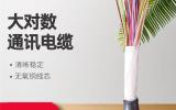 ͨ|ZRC-HYA100*2*0.5