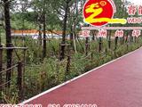 上海郊野公園透水混凝土園路鋪裝完工