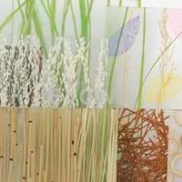 上海環保樹脂板|阻燃亞克力樹脂板|天然植物系列
