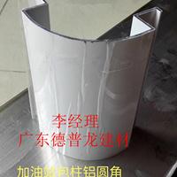 վ***ԲԲR60塿300۰