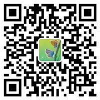 衡水盈辉橡塑科技有限公司