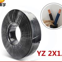 深圳市金环宇电线电缆 2芯橡皮软电缆橡套电缆YZ 2*1.5铜芯足米